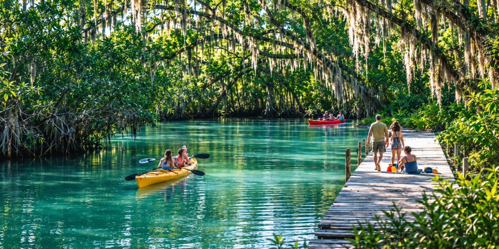 Multigenerational family picnics beside kayakers and a palm-lined Florida spring